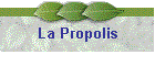 La Propolis