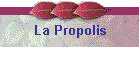 La Propolis